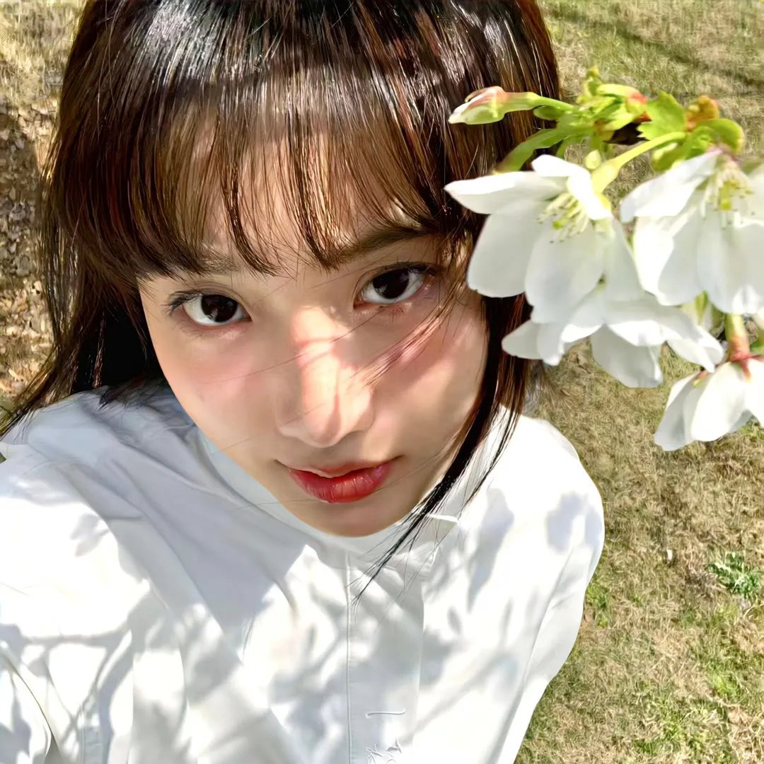 鸽子隧道